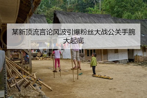 某新顶流言论风波引爆粉丝大战公关手腕大起底