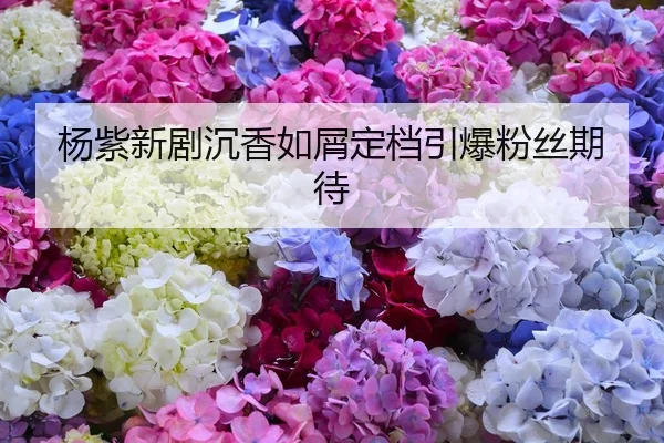 杨紫新剧沉香如屑定档引爆粉丝期待