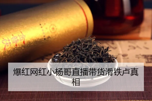 爆红网红小杨哥直播带货滑铁卢真相